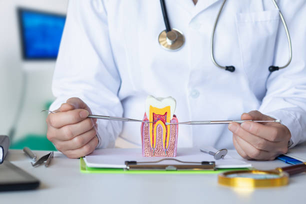 Best Knocked-Out Tooth (Avulsed Tooth) Treatment in Luray, VA